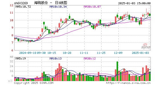 海鸥股份