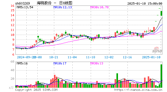 海鸥股份