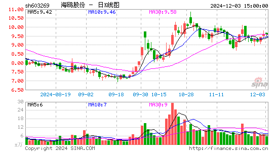 海鸥股份