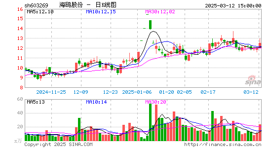 海鸥股份