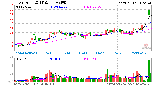 海鸥股份