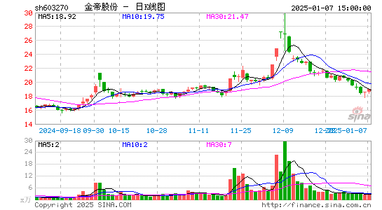 金帝股份