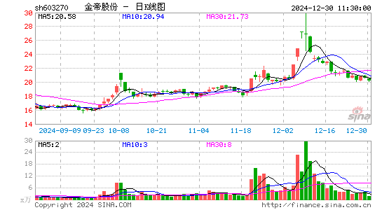 金帝股份