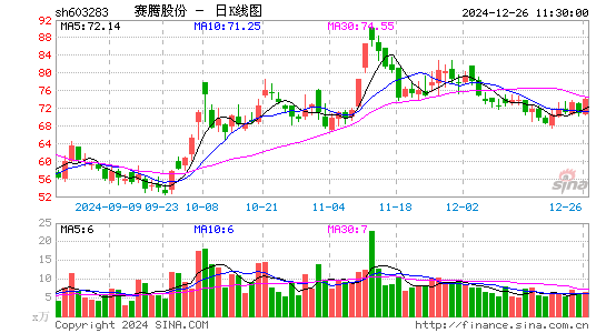 赛腾股份