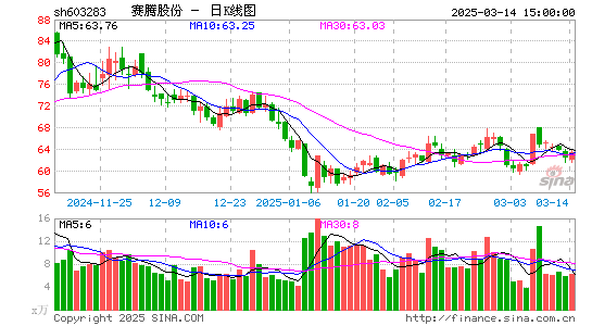 赛腾股份