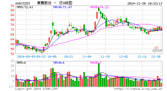 赛腾股份