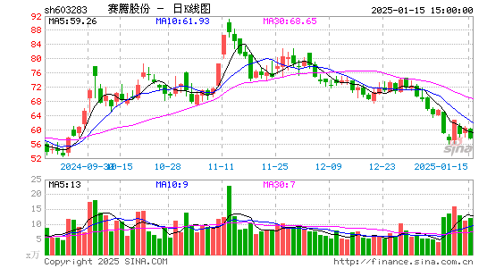 赛腾股份