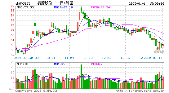 赛腾股份