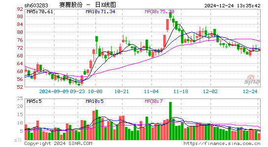 赛腾股份