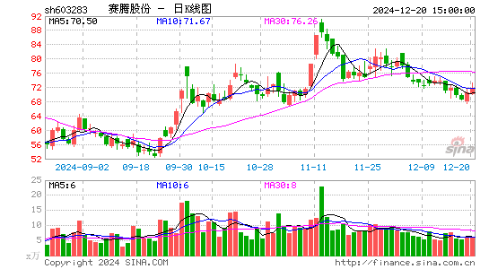 赛腾股份