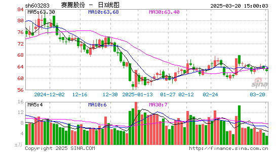 赛腾股份