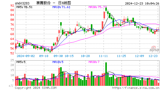 赛腾股份