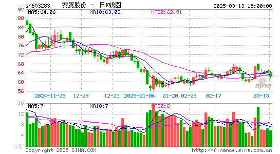 赛腾股份