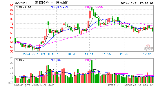 赛腾股份