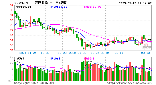 赛腾股份