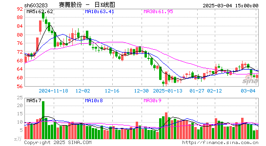 赛腾股份