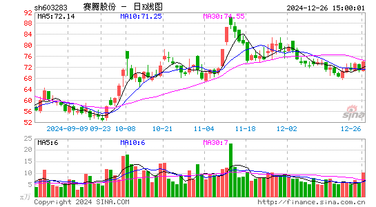 赛腾股份