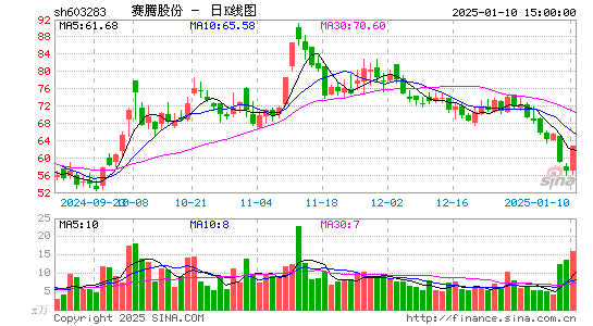 赛腾股份