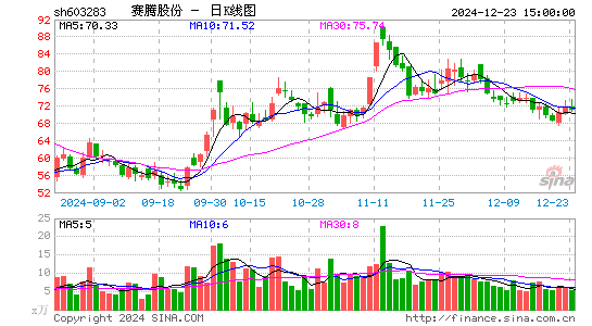 赛腾股份