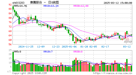 赛腾股份