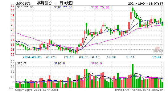 赛腾股份