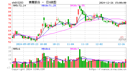 赛腾股份