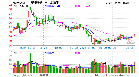 赛腾股份