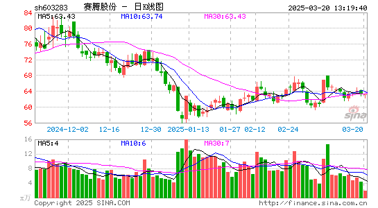 赛腾股份