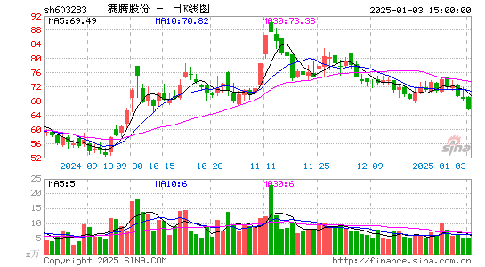 赛腾股份