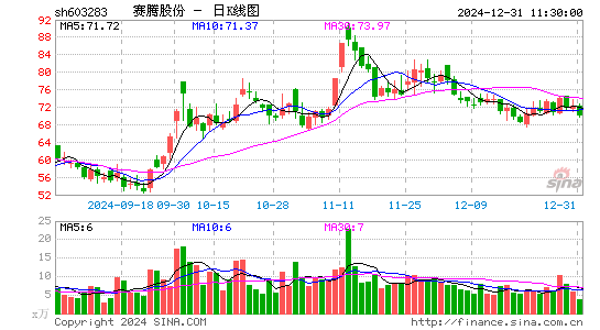 赛腾股份