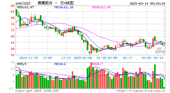 赛腾股份