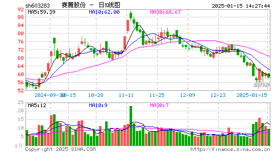 赛腾股份