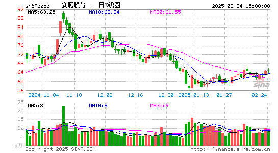 赛腾股份