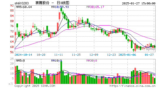 赛腾股份