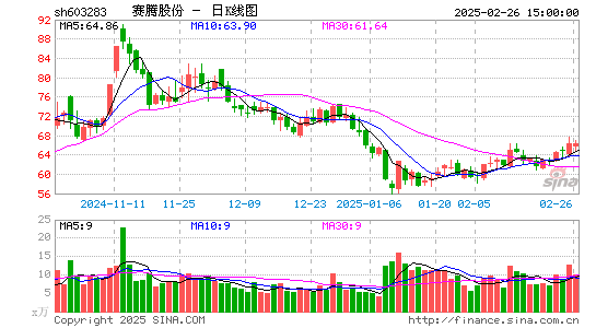 赛腾股份