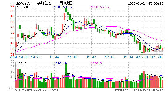 赛腾股份