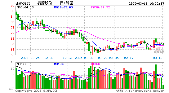 赛腾股份