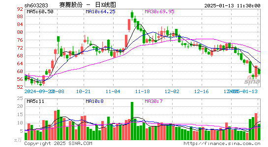 赛腾股份