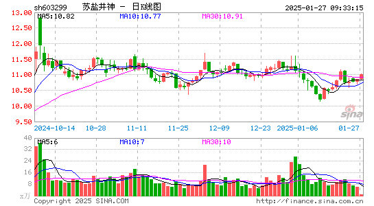 苏盐井神