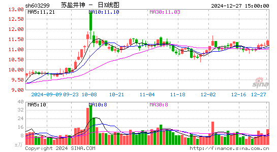 苏盐井神