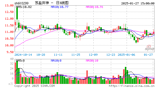 苏盐井神