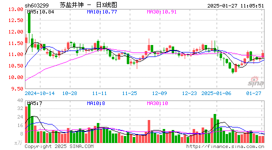 苏盐井神