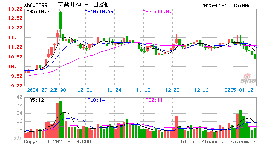 苏盐井神