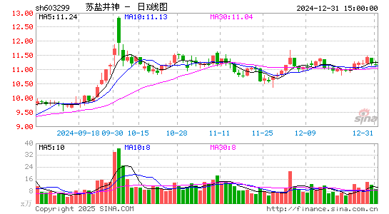 苏盐井神