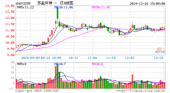 苏盐井神