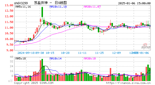 苏盐井神