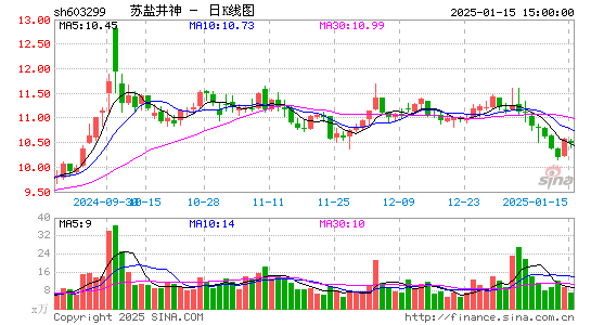 苏盐井神