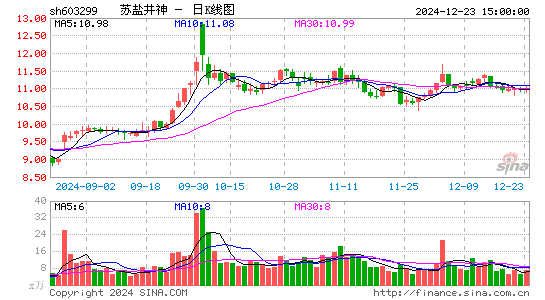 苏盐井神