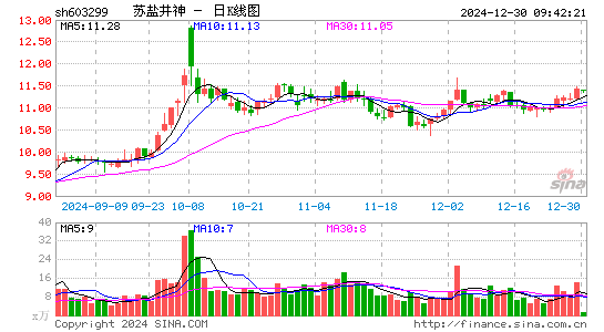 苏盐井神