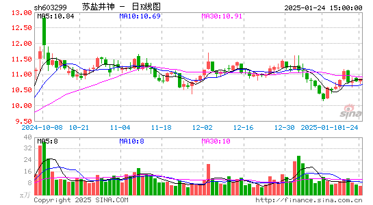 苏盐井神